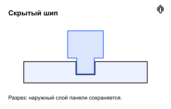 Скрытый шип: условный разрез с сохранённым наружным слоем.